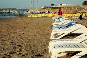 Début de la Saison Estivale aux Andalouses