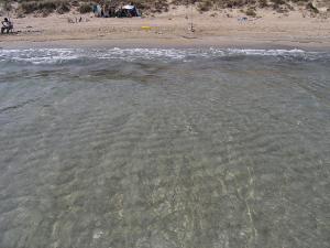 Plage la Mactaa Oran