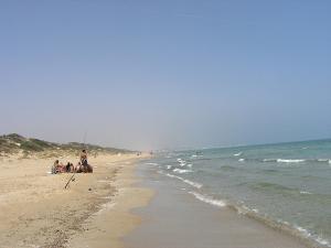Plage la Mactaa Oran la Pêche