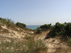 Plage la Mactaa Oran