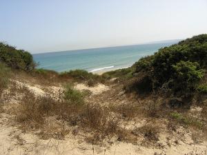 Plage la Mactaa Oran