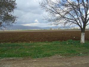 Sur la route entre Alger et Oran (Champ Agricole)