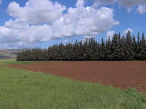 Paysage entre Alger et Oran (Vue du Train )