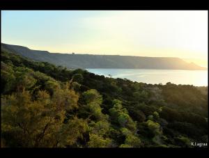 Baie de la Plage de Kristel (Oran)