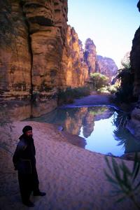 Guelta dans le canyon d'Essendilène.