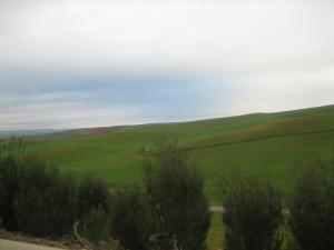 Paysage de Sour El Ghozlane