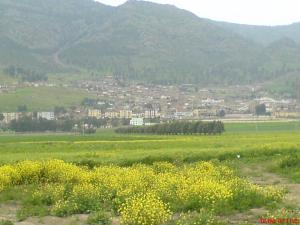 Vue d'ensemble sur Ain defla