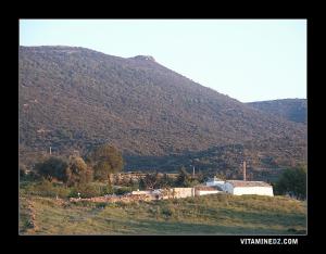 Sidi Afif ou Sidi Hafif sur les hauteurs de Terny