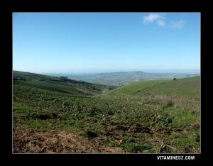 Champs verdoyants à Sebaa Chioukh