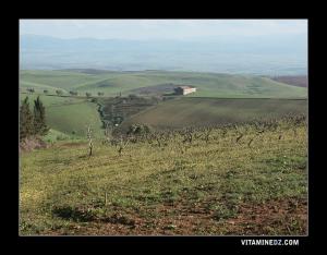 Ferme au milieu des champs de Sebaa Chioukh