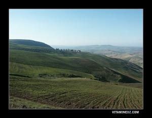 Ferme au milieu des champs de Seb3a Chioukh