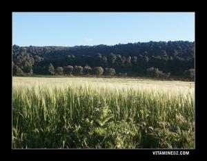 Plateau de Lalla Setti