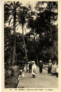 Allée du jardin public, la séguia