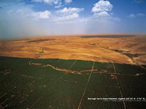 Barrage vert à Hassi Bahbah