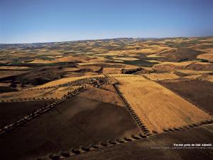 Ferme près de Sidi Abdelli