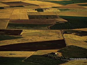 Ferme près de Boukhanefis