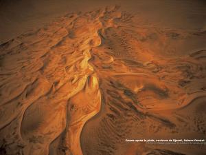 Dunes après la pluie, environs de Djanet, Sahara Central