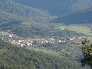 وادي الزهور