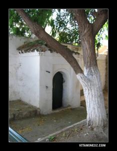 Darih de Sidi Boujemaa