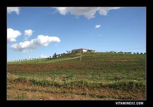 Ferme coloniale au milieu de parturages verdoyants à Chabet El Ham