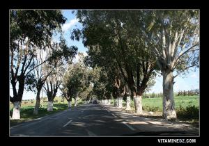 Route de Chabat vers Hammam Bouhdjar