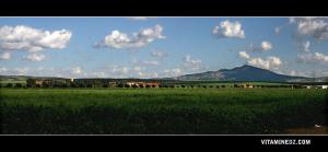 Hammam Bouhadjar, la plaine de la Mleta, Djbelk Tessala
