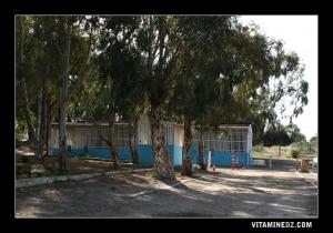 El Hamda bain et source chaude à la sortie de Hammam Bouhadjar