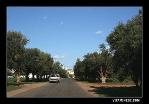 Entrée Sidi Boumediene