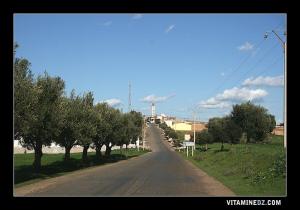 Entrée Sidi Boumediene
