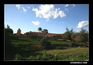 Ferme à la commune de Sidi Boumediene