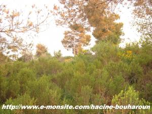 le ravin des voleurs