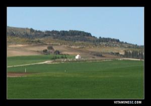 Moulay Abdel Kader m'ta Ensafra ?