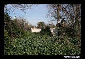 Sidi Djaber, sur la route de Saf Saf