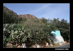 Sidi Mhamed, sur la route d'El Ourit
