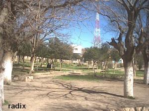 jardin publique cheria