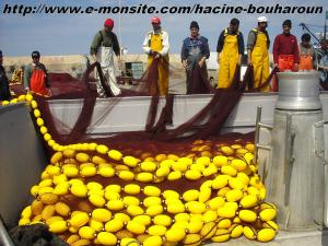 Bouharoun (les pêcheurs)