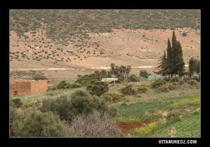 Marabout de Sidi Mohamed à Ain Fezza