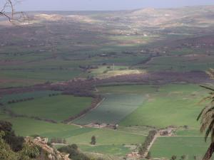 plaine du bas chélif vue de sour