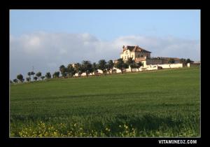Ferme coloniale à la sortie d'El Amria (Ex Lourmerl)