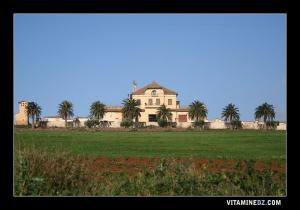 Domaine agricole à la sortie d'El Amria ex Lourmel