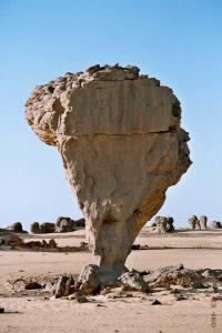 Tersi la chèvre, Tassili N'Ahaggar