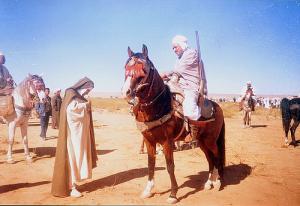 La fête traditionnelle d'Aflou