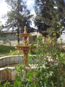 centre du cfpa el-omaria