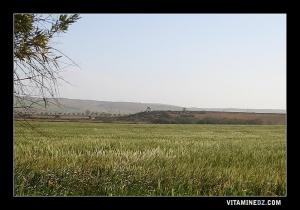 Sidi Aissa ou Sidi Bousaada? aux abords de l'Oued El Maleh