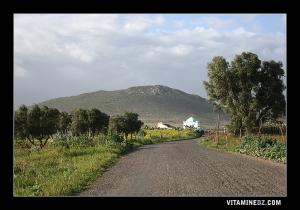 Sidi Massaoud (messaoud) en arrière plan Djbel Touita ou Touila