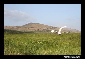 Djbel Aicha et Touila