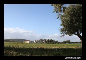 Ferme juste avant d'arriver à Terga