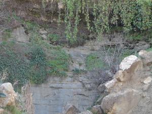 natures de sidi hosni