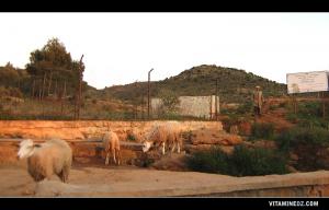 Fontaine portant le nom du marabout de Sidi Ahmed au plateau de Lalla Setti