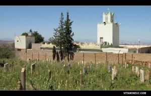 Mosquée et cimetière de Beni Boublene